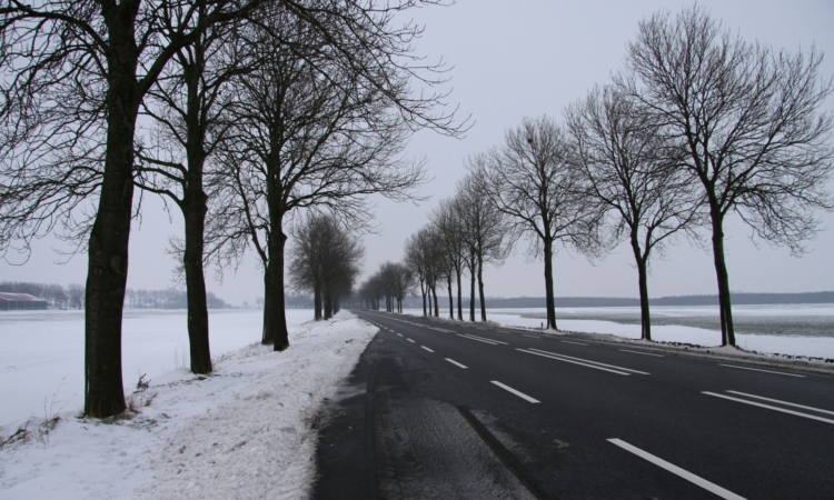 Winter